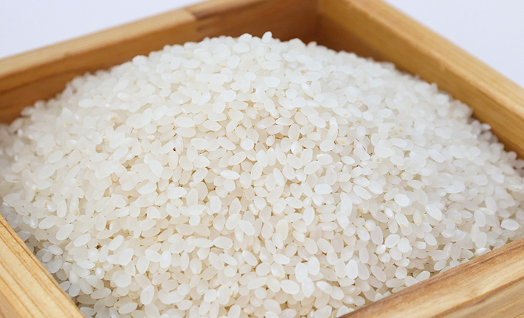 라이스 밀크 쌀 우유 유당불내증 증상 유당불내증 대체우유