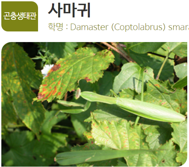 아산 생태곤충원