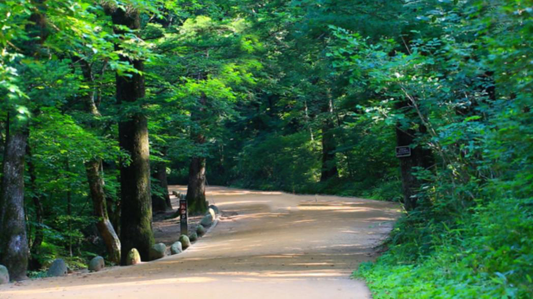 오대산 선재길 코스