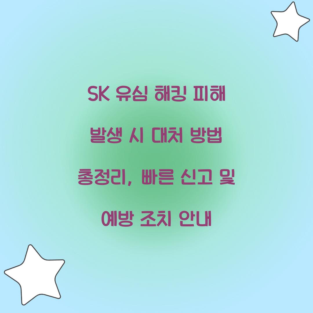 SK 유심 해킹 피해 발생 시 대처 방법