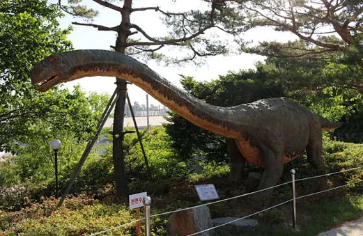 덕소자연사박물관