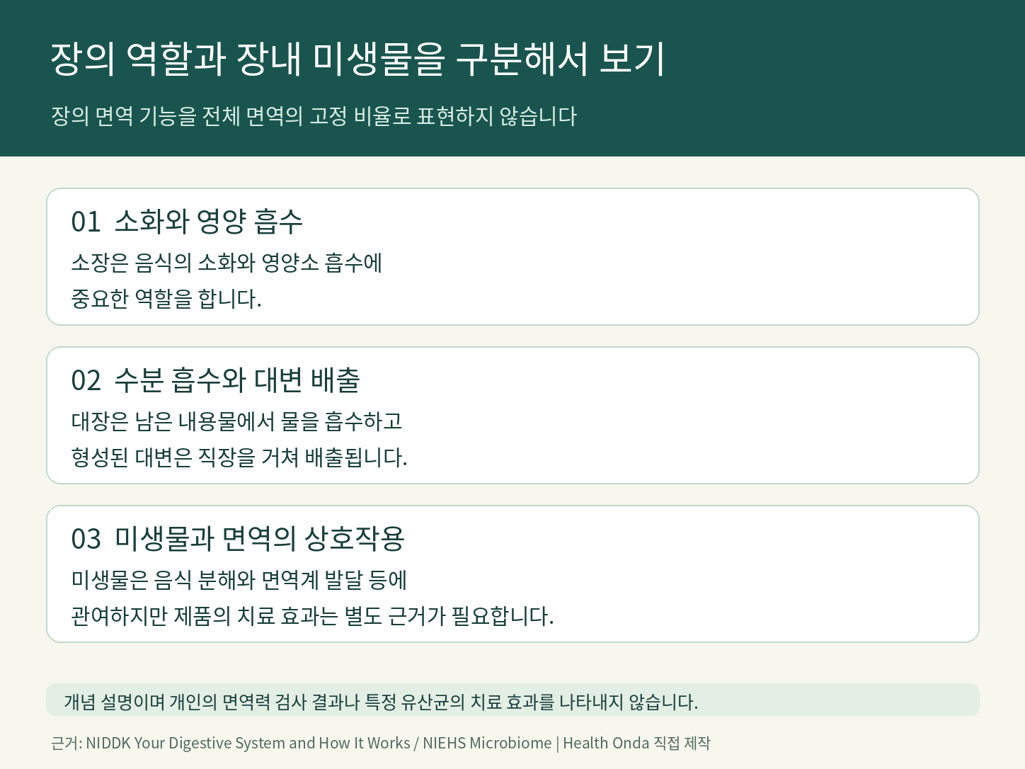 소장의 소화&middot;영양 흡수, 대장의 수분 흡수&middot;배출과 장내 미생물&middot;면역 상호작용을 구분한 안내