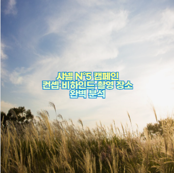 샤넬 N&deg;5 캠페인 컨셉&middot;비하인드&middot;촬영 장소 완벽 분석