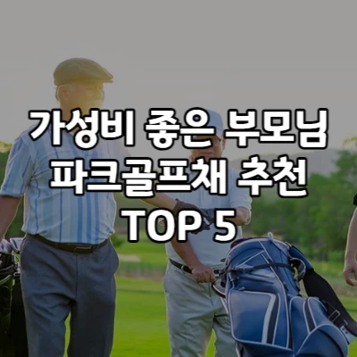 파크골프채 추천