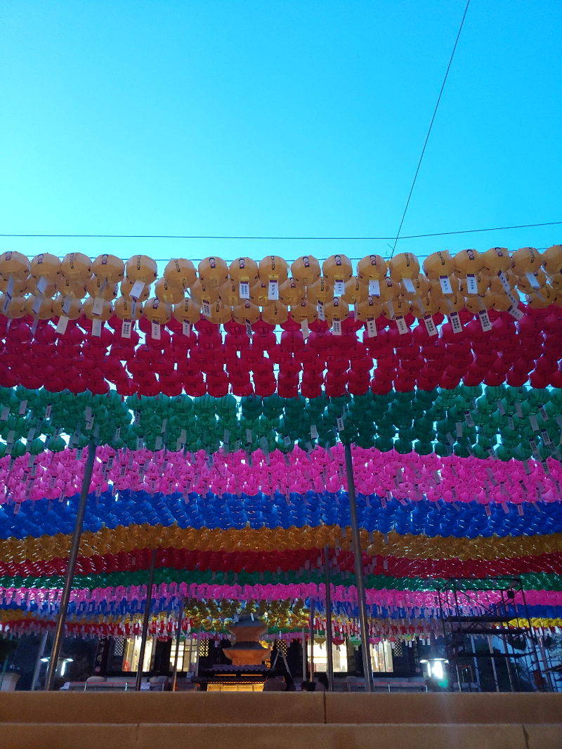 코엑스-근처-봉은사-저녁-무렵