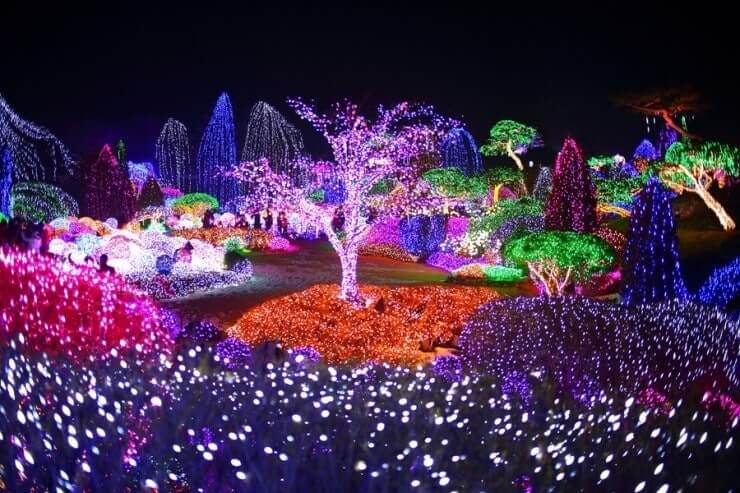 2025 가평 아침고요수목원 오색별빛정원전 일정 및 주차, 맛집, 주변명소 사진