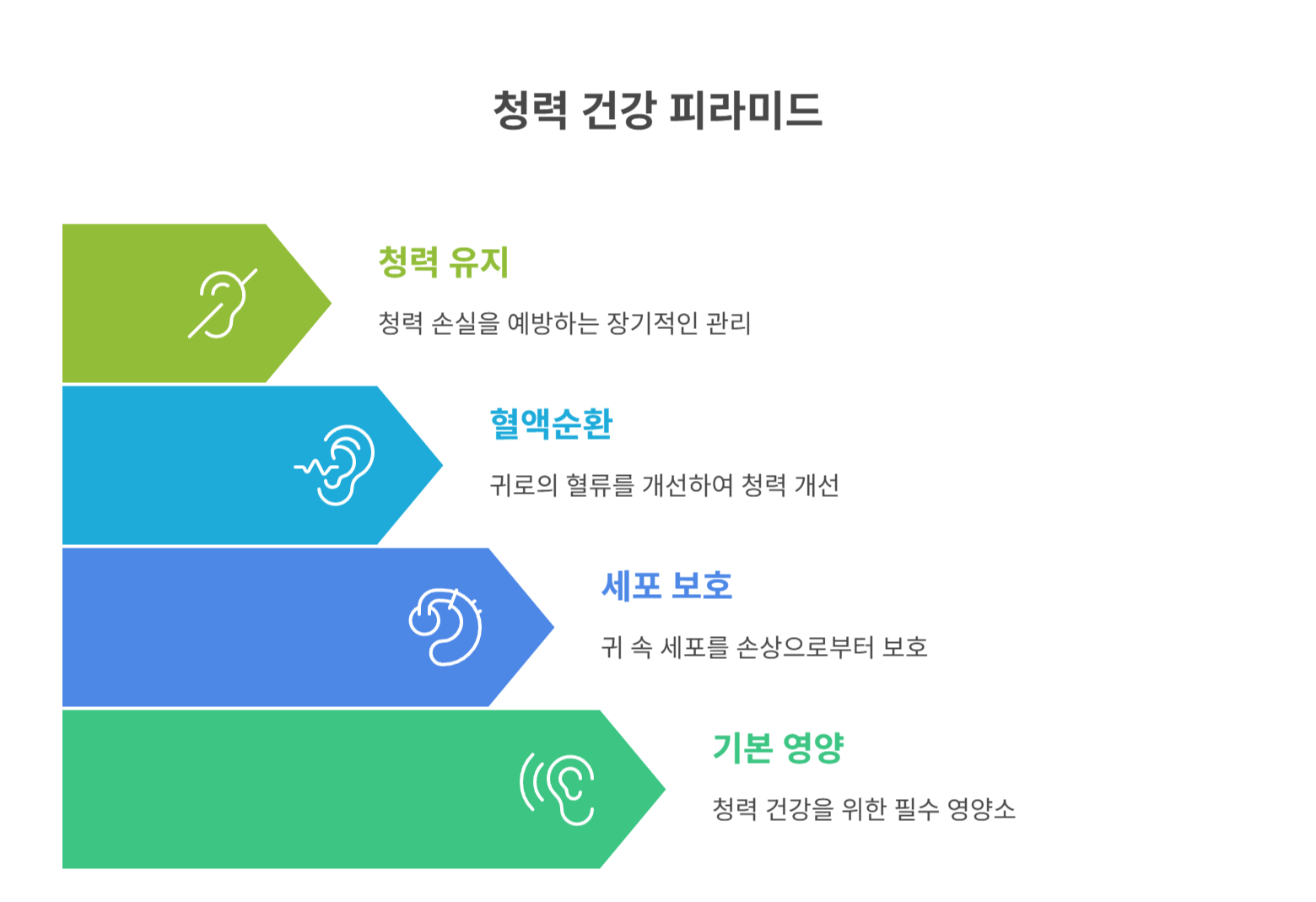 청력에 도움 되는 성분 TOP 5