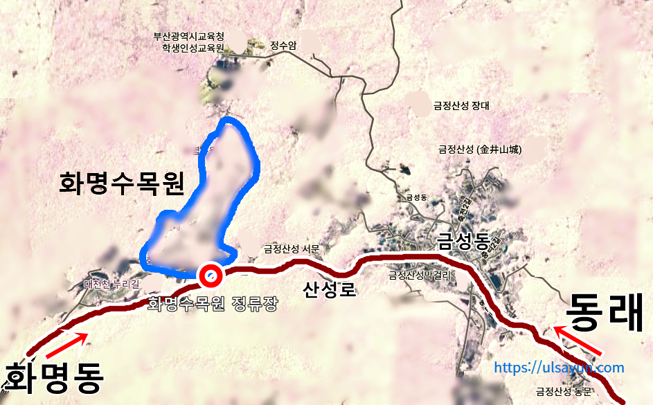 화명수목원 교통정보