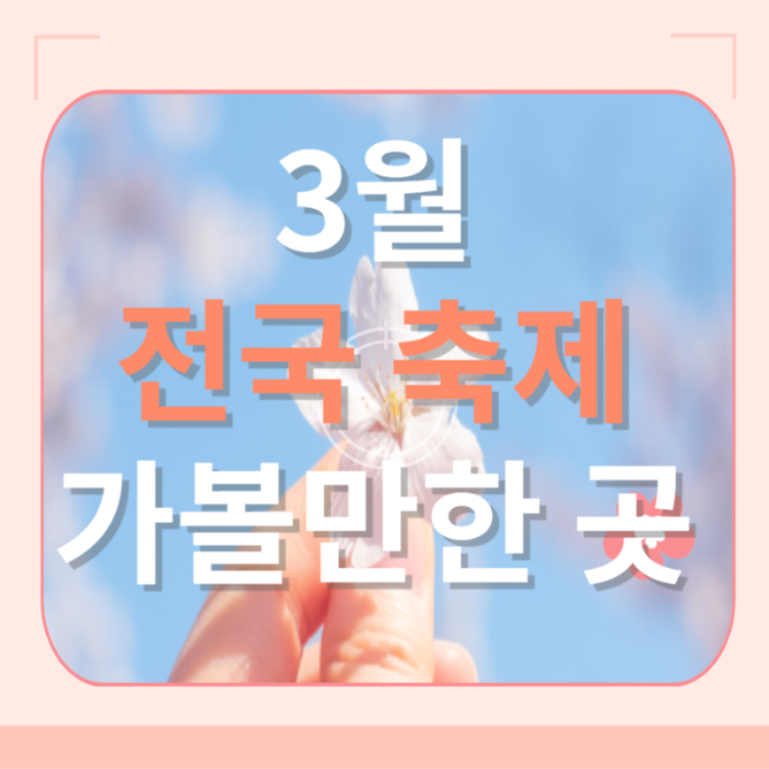 2024년 전국 3월 축제