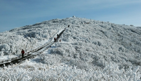 지리산 노고단 설경 여행