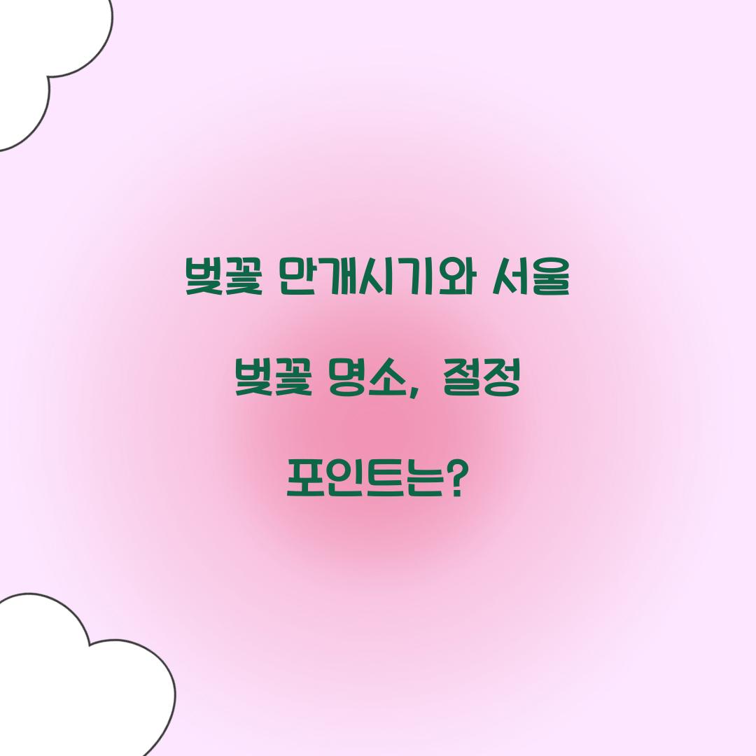 벚꽃 만개시기