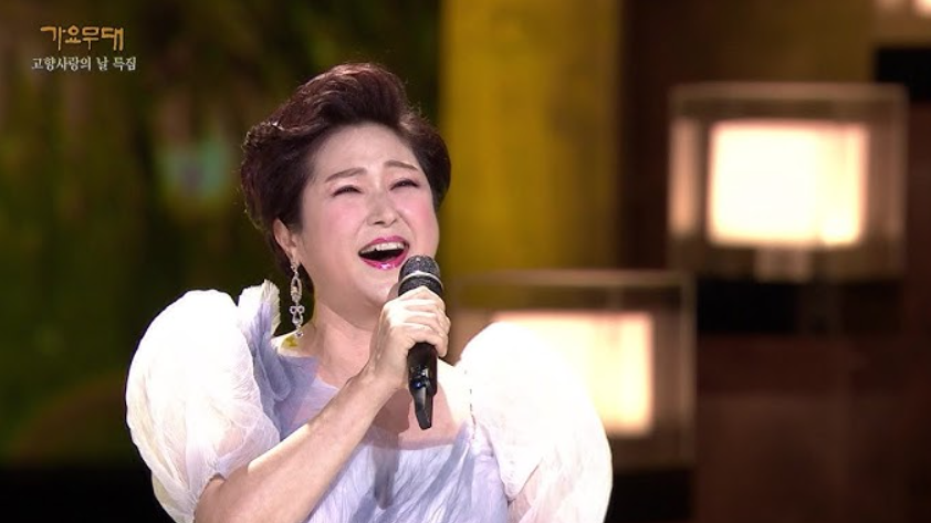 가수 김용임 프로필 사진│트로트 여왕 김용임의 무대 모습