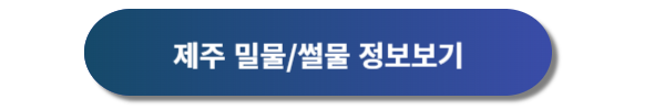 제주 날씨, 제주도 날씨, 제주 날씨예보, 제주도 날씨예보