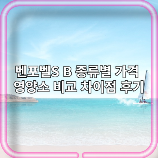 벤포벨S B 종류별 가격 영양소 비교 차이점 후기