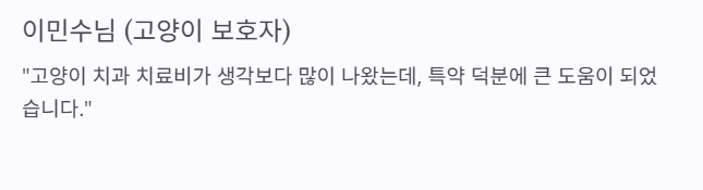 현대해상 펫보험