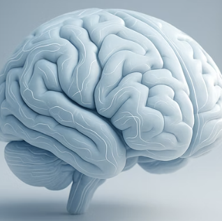 ADHD테스트 필요성을 보여주는 대표적인 초기 증상 정리