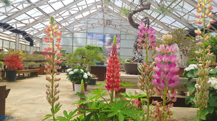 옥천 수생식물학습원