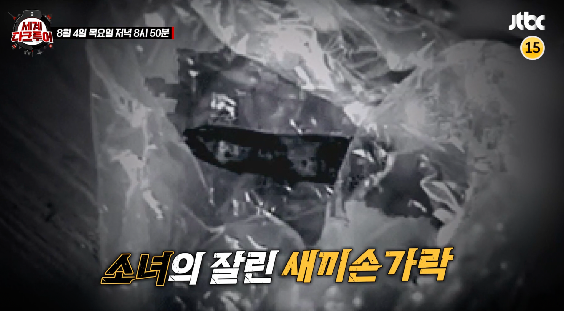 세계다크투어 대만판 그놈목소리 바이샤오옌