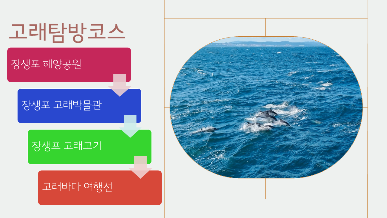 울산 고래 탐방 여행 코스