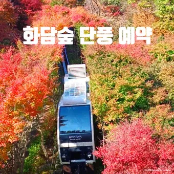 화담숲 단풍 절정시기 예약 방법까지 정리_18