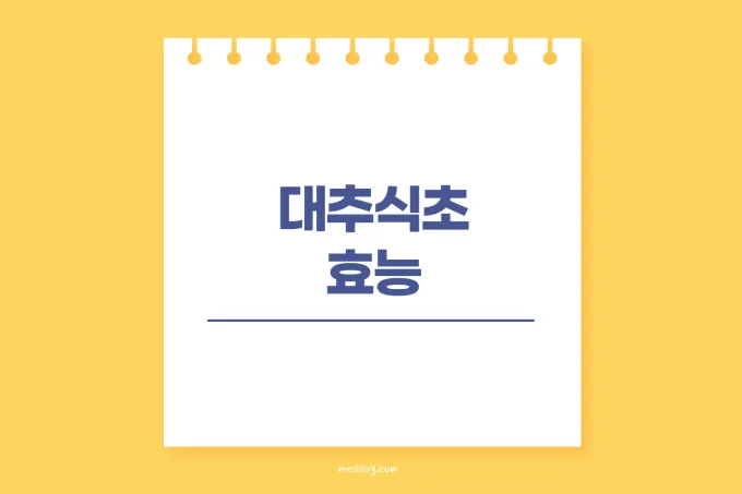 대추식초 효능
