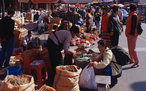 금산 인삼약령시장 전국 최대 규모의 인삼&middot;약초 시장 