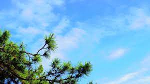  겨울 방학 국내 여행 추천지 BEST 5 - 경포대