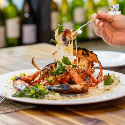 SBS 생방송 투데이 원주 혁신도시 돌스테이크