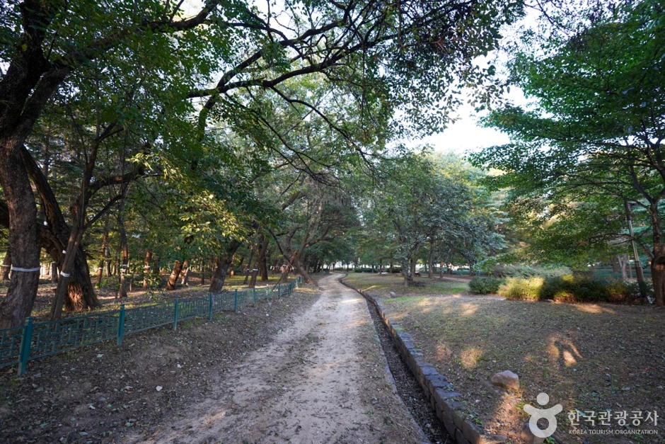 의성 가볼만한곳 베스트10