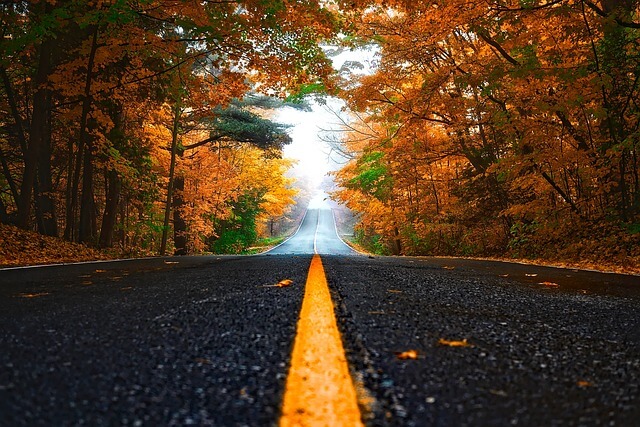 단풍 명소 여행