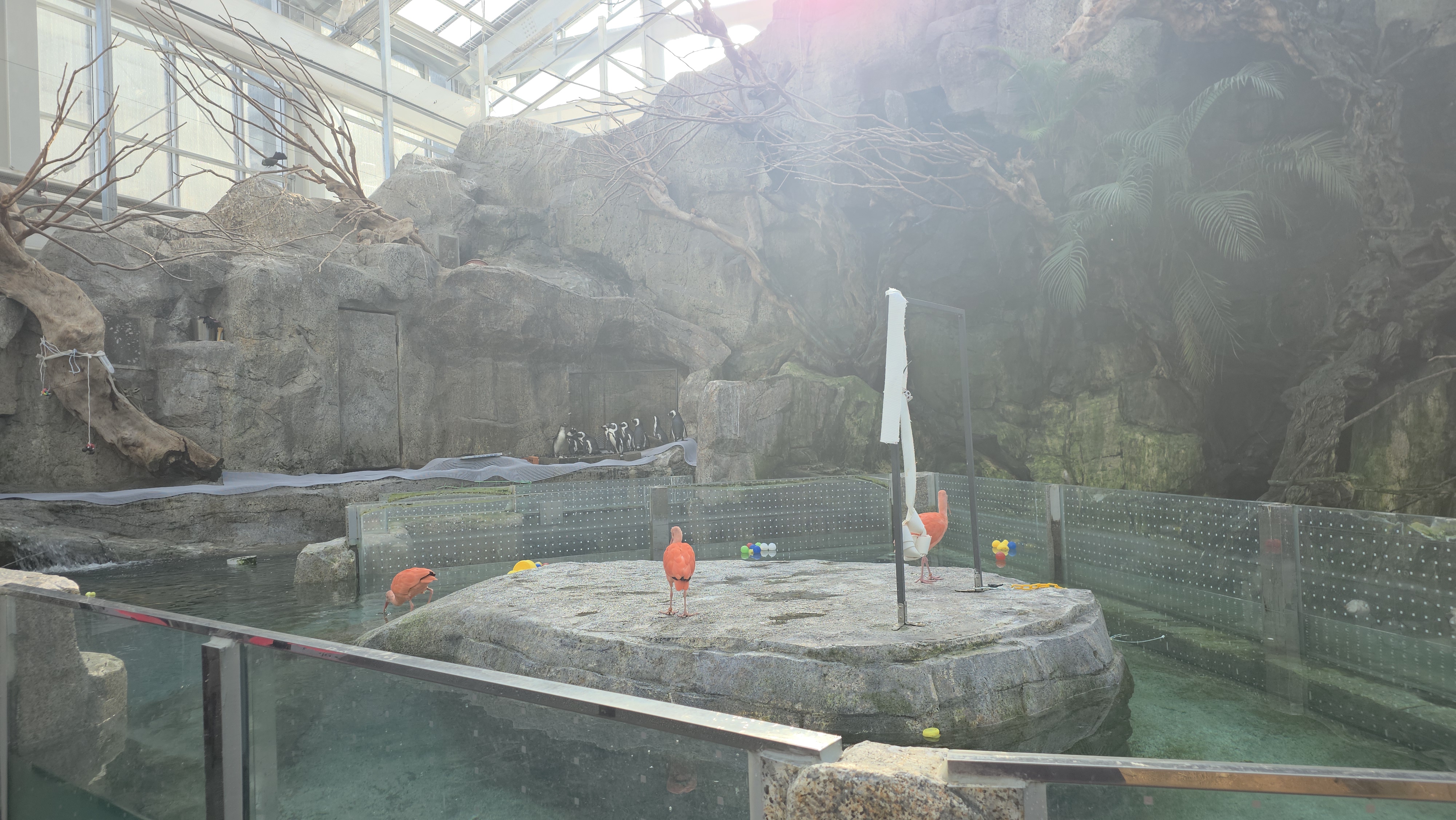 베고니아 정원 in 가평