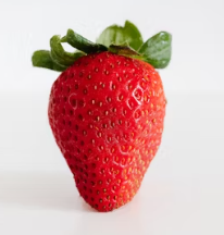 천식에 좋은 음식 영양제 식단