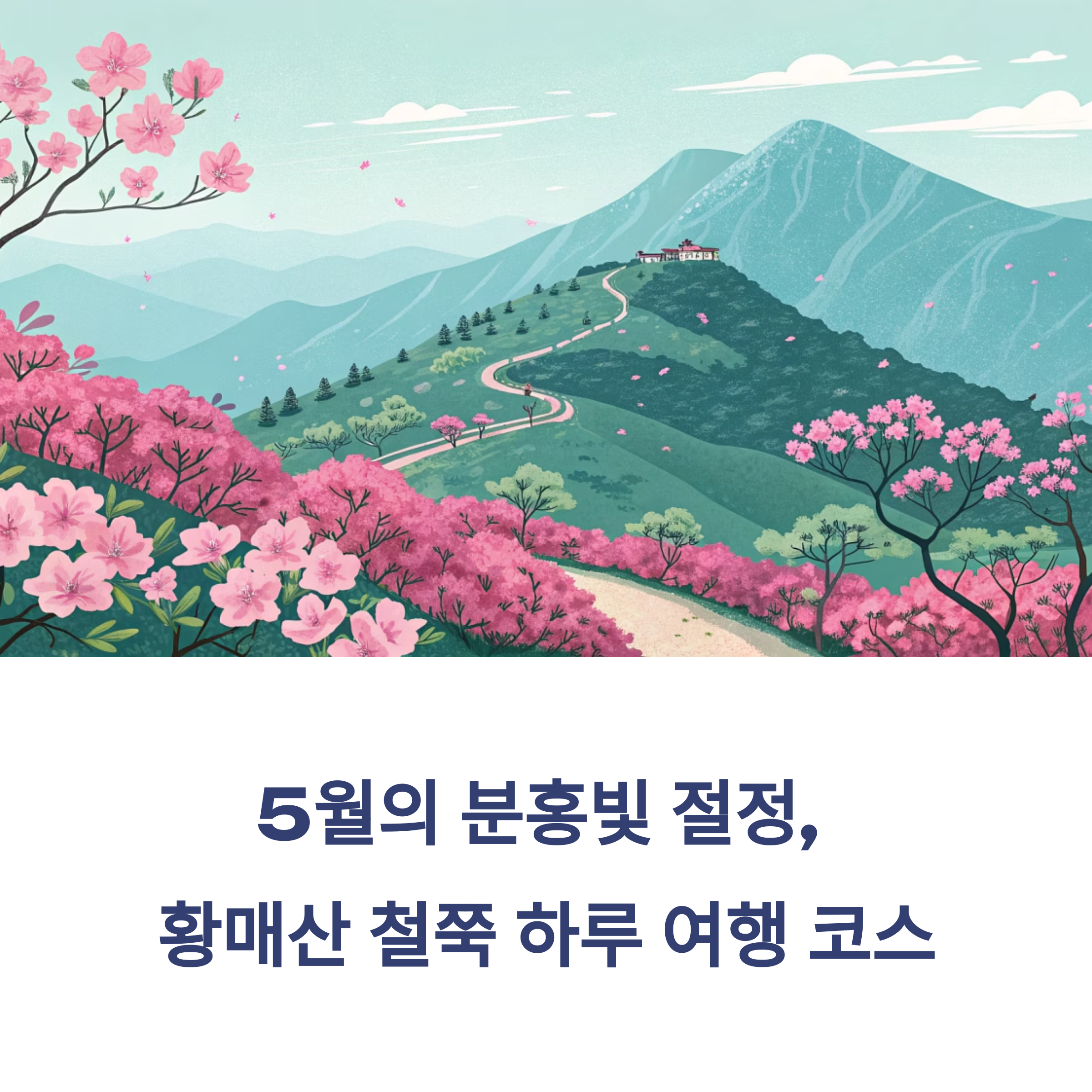 5월의 분홍빛 절정, 황매산 철쭉 하루 여행 코스 완벽 가이드