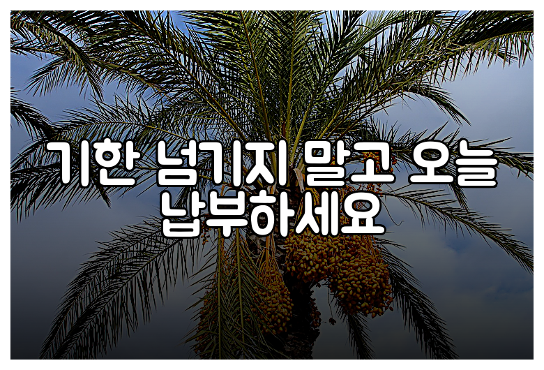 기한 넘기지 말고 오늘 납부하세요
