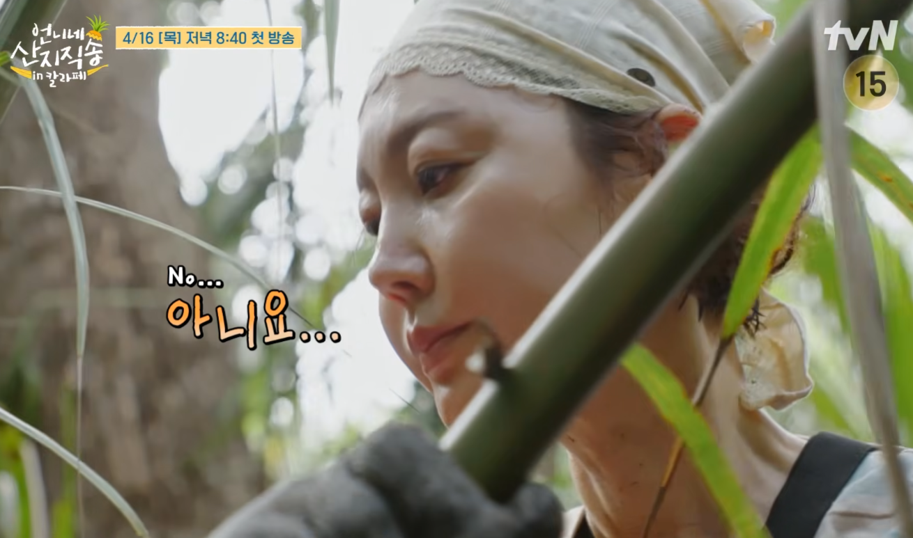 언니네 산지직송3