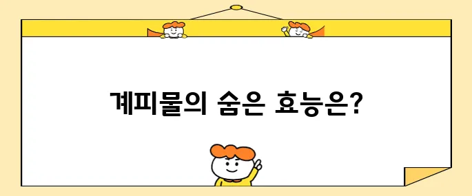계피물의 효능과 주의할 부작용 10가지