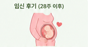 임신후기