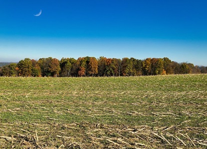 농지연금 지급방식 적용금리 및 지급정지사유