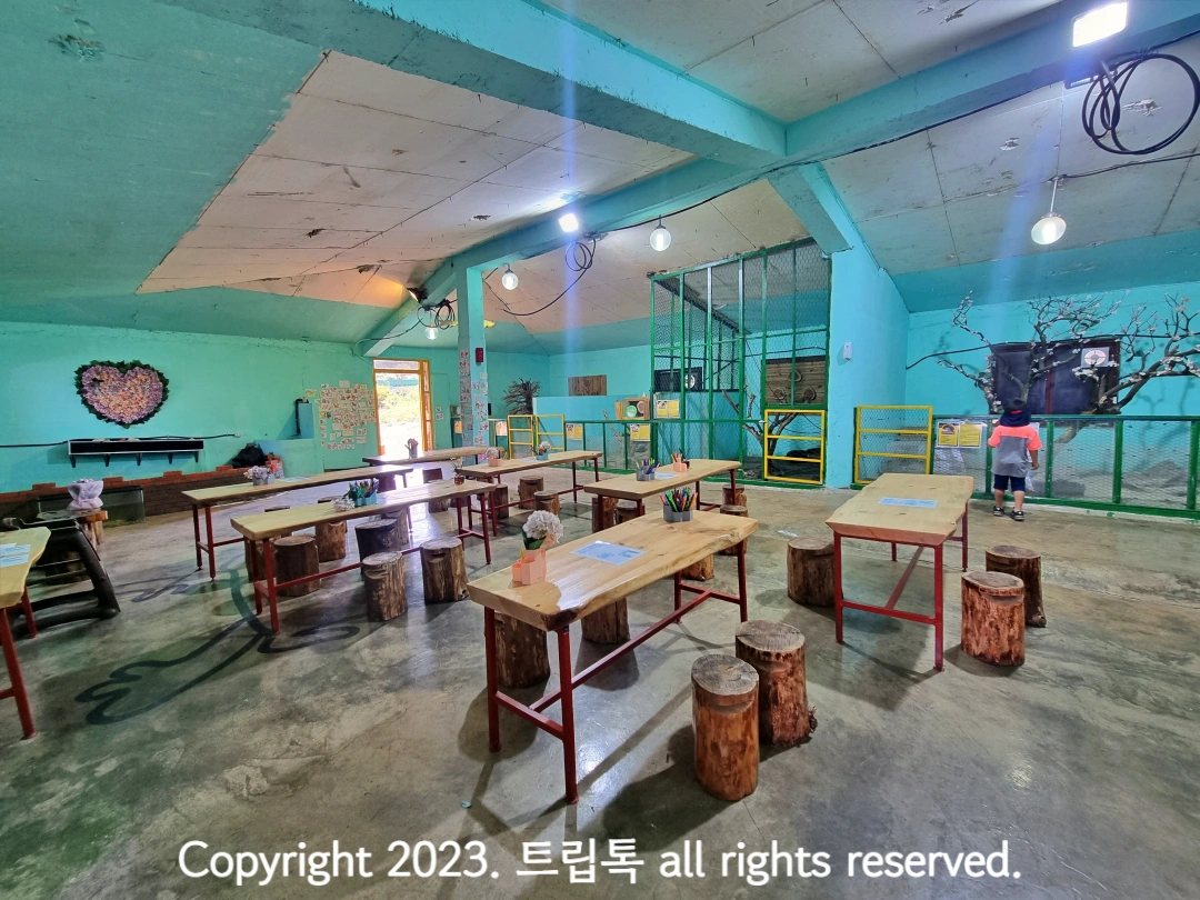 민트색 실내에 나무 의자롸 택상 그리고 벽에 작은 동물원