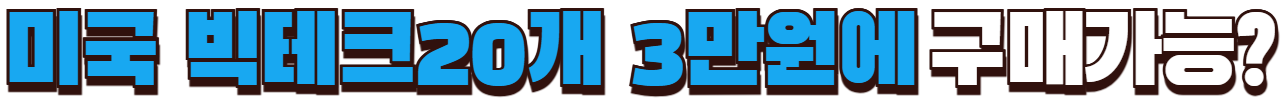 미국 빅테크 20개 3만 원에 사는 방법