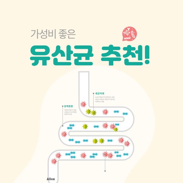 가성비 좋은 유산균
