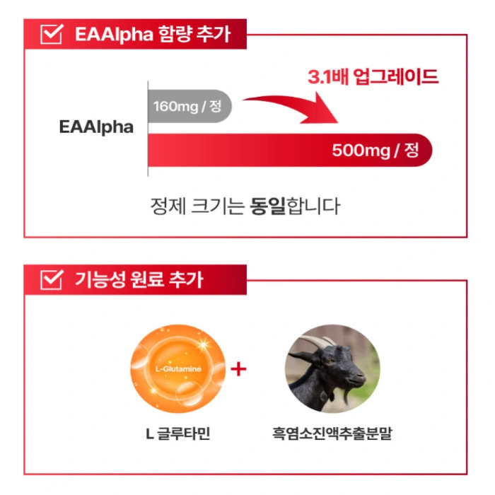 뉴티365 뉴티엠 부작용 내돈내산 후기 효능 복용법