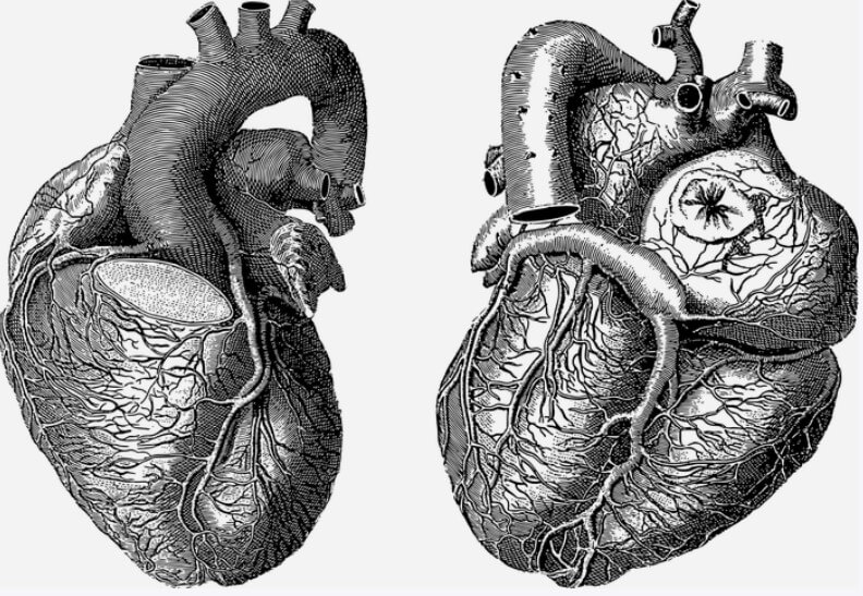 협심증 증상 협심증 조짐 협심증 초기증상