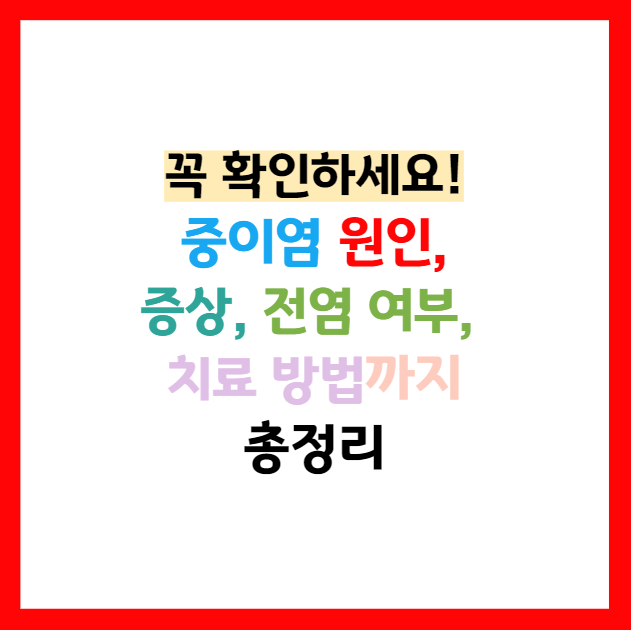 중이염 이어폰