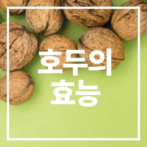 호두의 효능