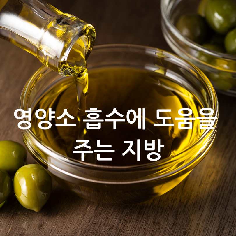 아보카도오일과 올리브오일 차이점