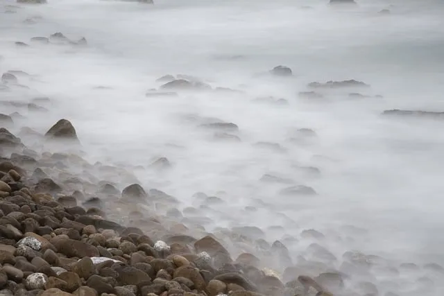 동해산타열차 시간표 예매가능한 날 가격_1