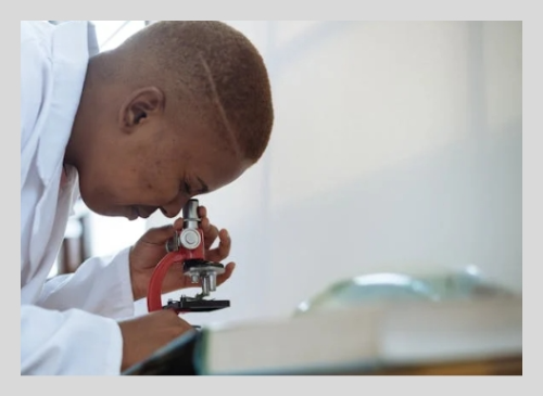 알콜성지방간 식단 가이드