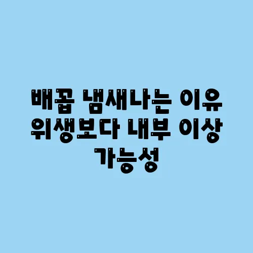 배꼽 냄새나는 이유 위생보다 내부 이상 가능성