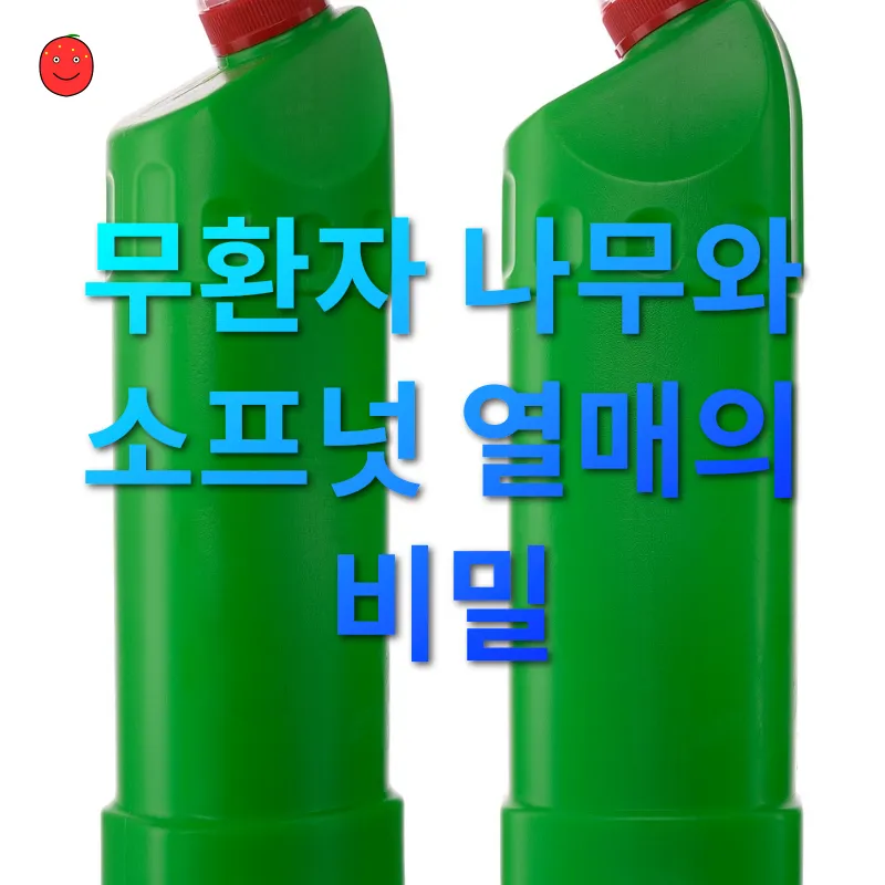 천연세제 만들기_1